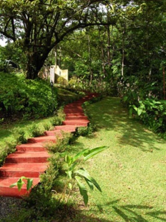 Amatierra Retreat And Wellness Center Bolson (San Jose) Exterior photo